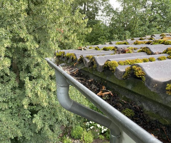 Verschmutzte Dachrinne vor der Reinigung